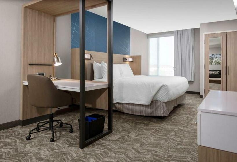 استودیو استاندارد با تخت کینگ, Springhill Suites Kansas City Airport