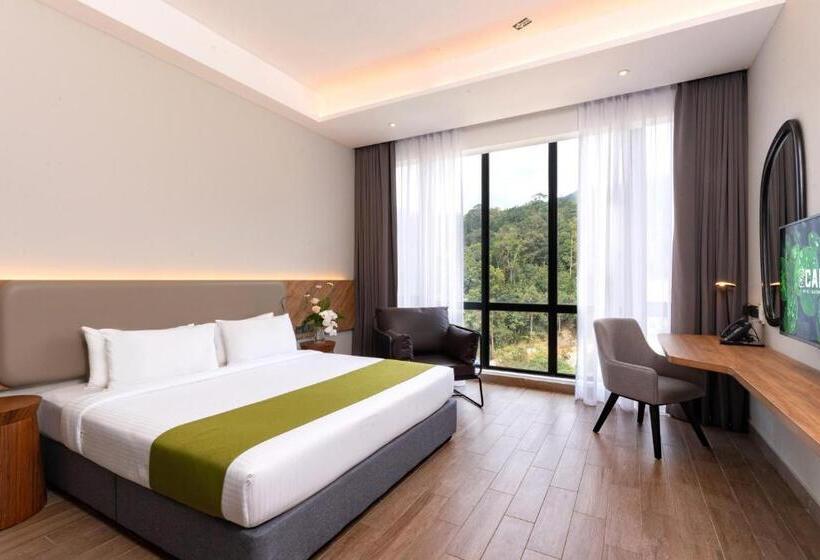 חדר דחוקס עם מיטת קינג, Scapes