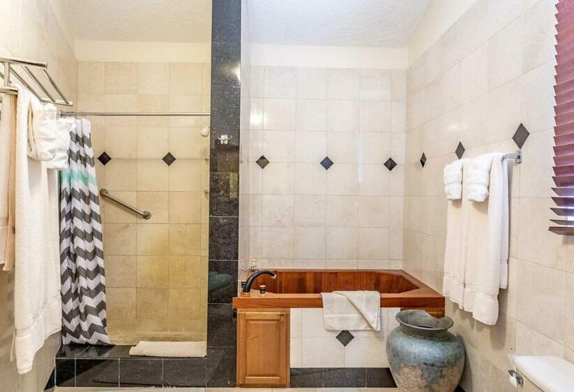 سوییت لوکس, Sebastian S On The Beach