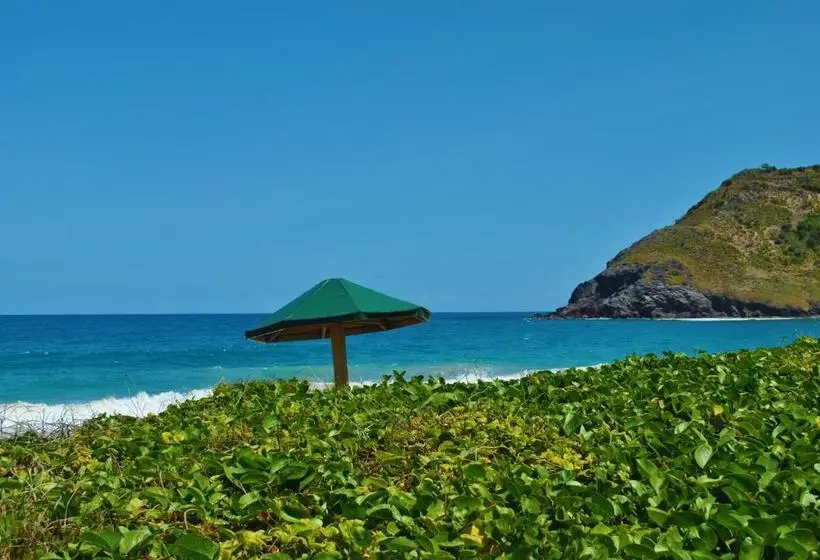 اتاق استاندارد با تخت بزرگ, Sugar Bay Club