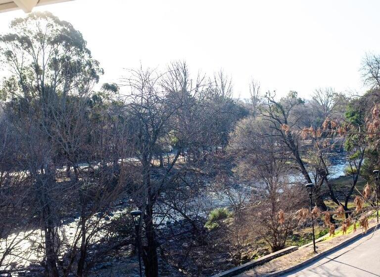 Апартаменты 1 Спальня, Jazmines Departamentos