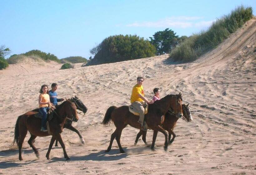 １ベッドルームアパートメント, Namaste Casas De Mar