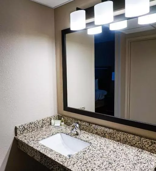 اتاق لوکس با تخت بزرگ, Boarders Inn & Suites By Cobblestone Hotels   Grand Island