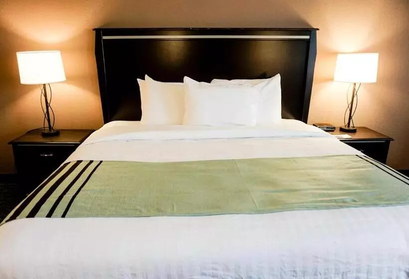 اتاق لوکس با تخت بزرگ, Boarders Inn & Suites By Cobblestone Hotels   Grand Island