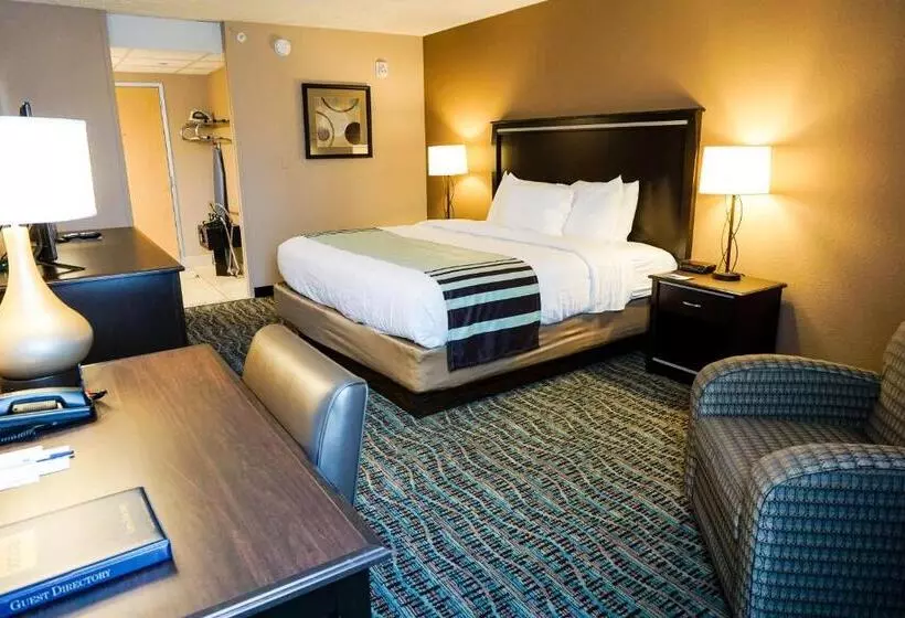 اتاق استاندارد با تخت بزرگ برای معلولان, Boarders Inn & Suites By Cobblestone Hotels   Grand Island