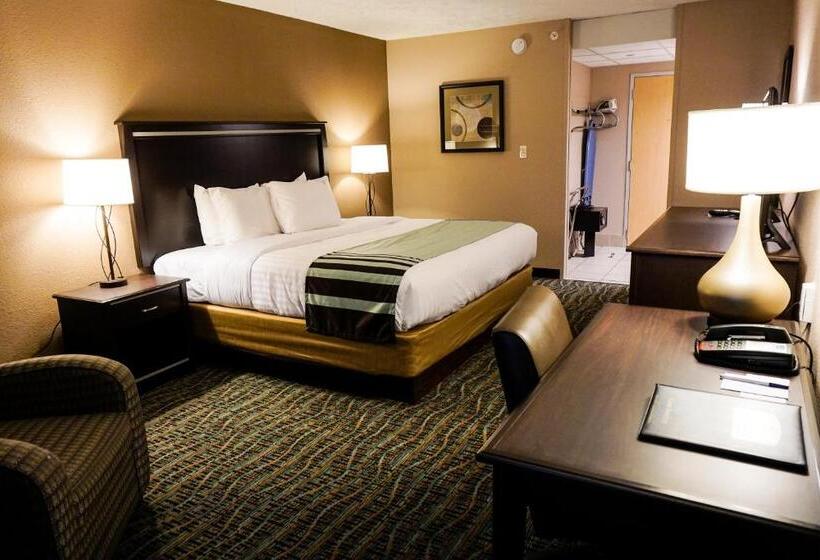 장애인을 위한 킹사이즈 침대 스탠다드 룸, Boarders Inn & Suites By Cobblestone Hotels   Grand Island