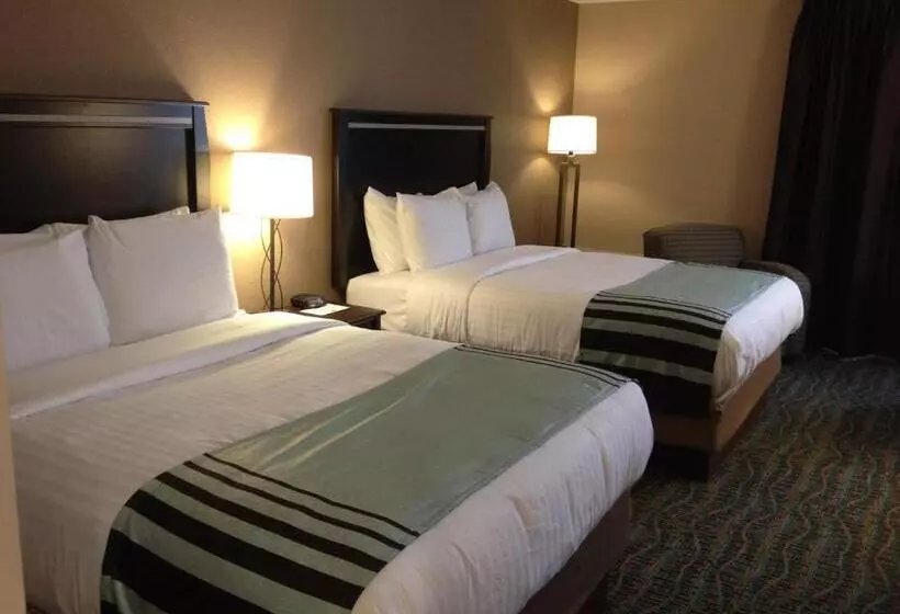 اتاق استاندارد برای معلولان, Boarders Inn & Suites By Cobblestone Hotels   Grand Island