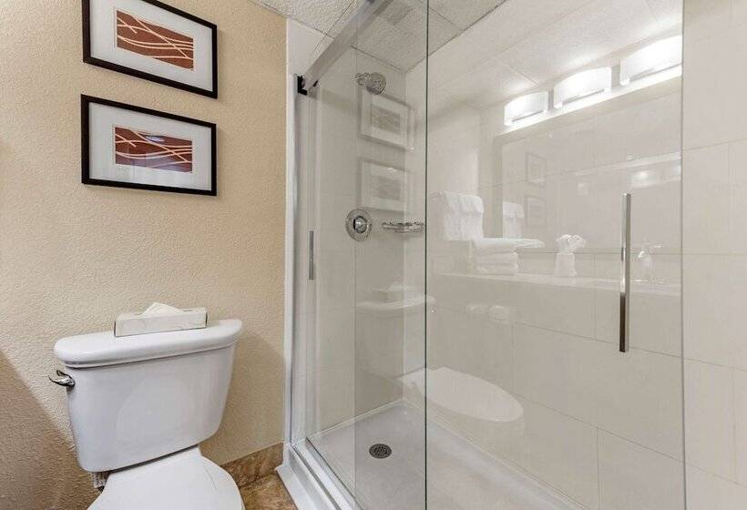 Номер Стандарт 2 Двуспальные Кровати, Comfort Inn Cranberry Twp