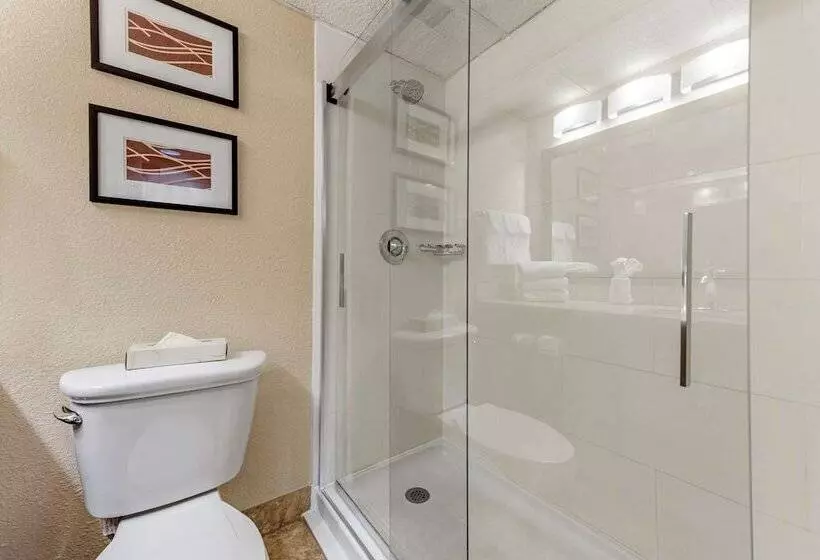 ２ダブルベッドのスタンダードルーム, Comfort Inn Cranberry Twp