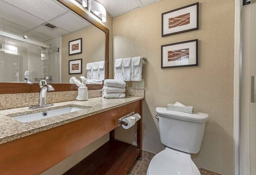 스탠다드 룸 더블 침대 2개, Comfort Inn Cranberry Twp
