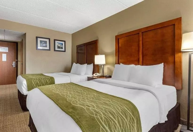 ２ダブルベッドのスタンダードルーム, Comfort Inn Cranberry Twp