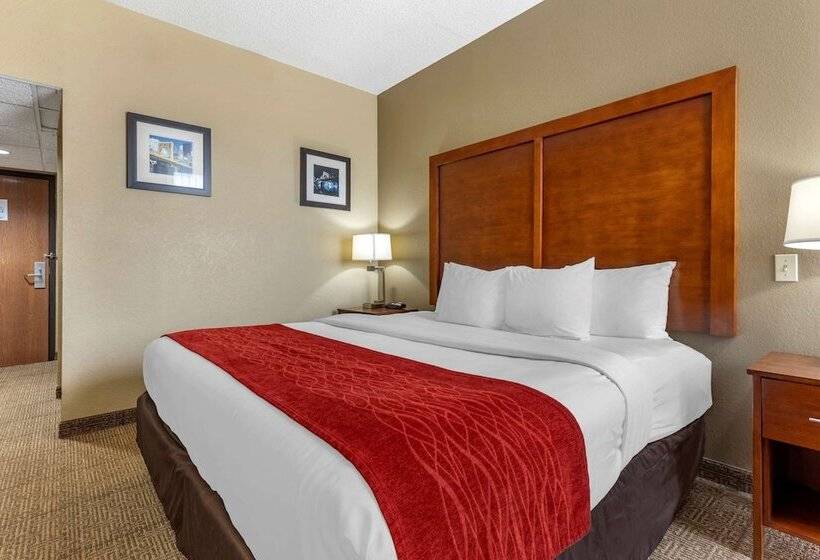 스탠다드 룸 더블 침대 2개, Comfort Inn Cranberry Twp