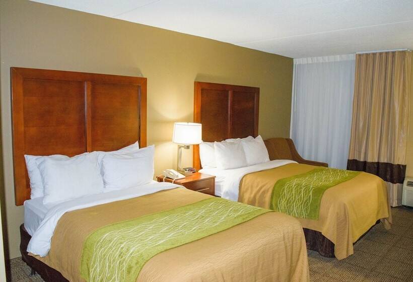 Номер Стандарт 2 Двуспальные Кровати, Comfort Inn Cranberry Twp
