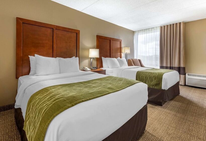 Номер Стандарт 2 Двуспальные Кровати, Comfort Inn Cranberry Twp