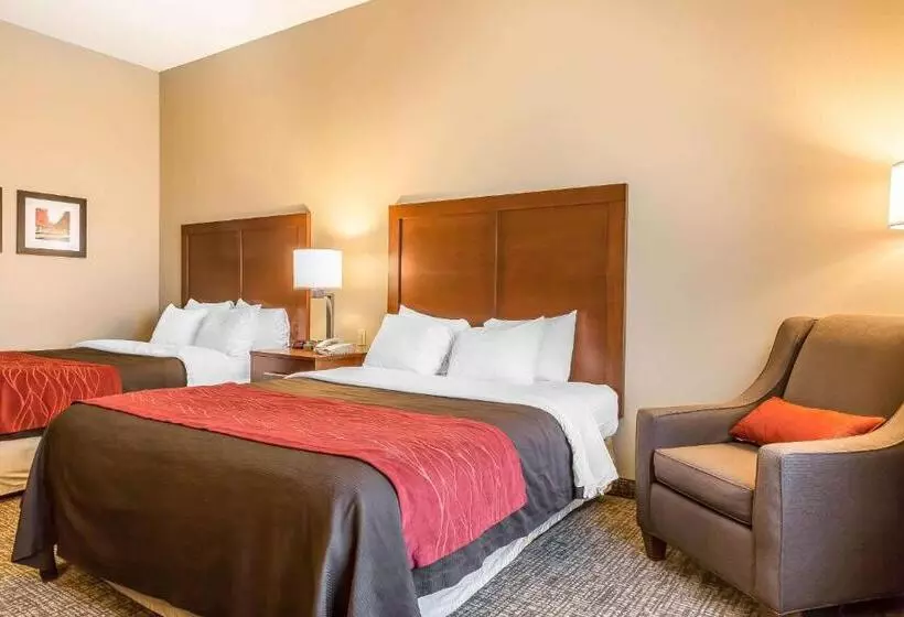 身障者適用スタンダードルーム, Comfort Inn