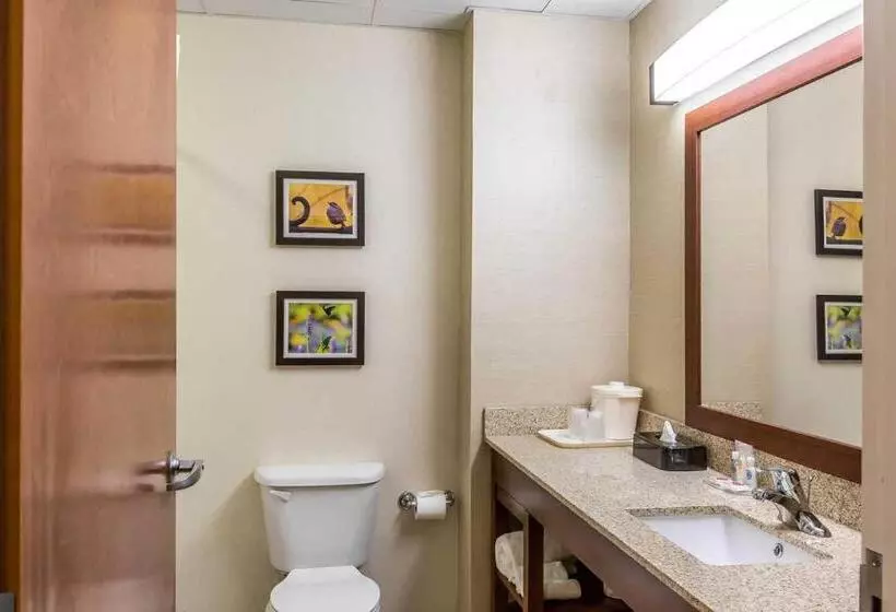 スタンダードルーム, Comfort Inn