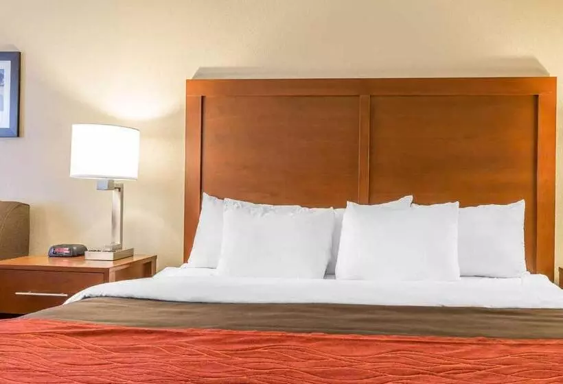 スタンダードルーム, Comfort Inn