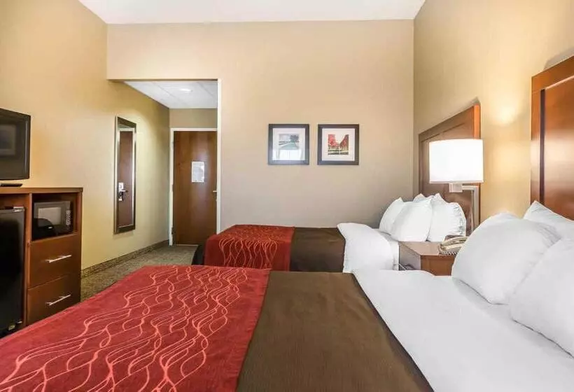 スタンダードルーム, Comfort Inn
