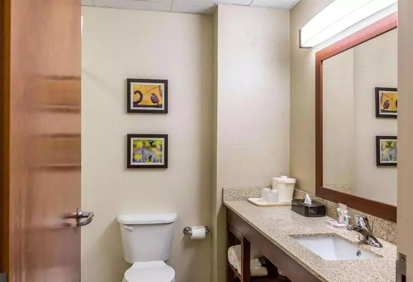 身障者適用キングサイズベッドルーム, Comfort Inn