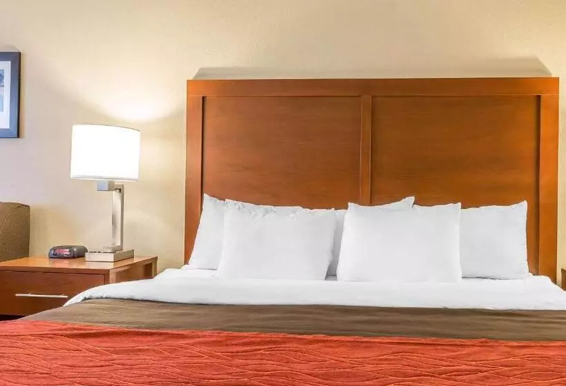 身障者適用キングサイズベッドルーム, Comfort Inn