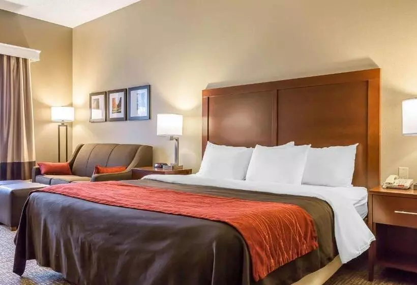 身障者適用キングサイズベッドルーム, Comfort Inn