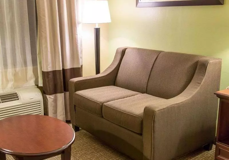 اتاق استاندارد با تخت بزرگ, Comfort Inn Shreveport I49