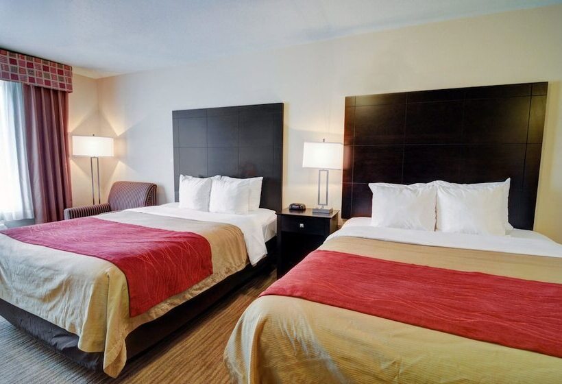 스위트, Comfort Inn & Suites
