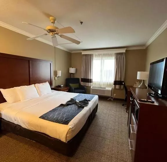 キングサイズベッドのスタンダードルーム, Comfort Inn & Suites Ocean Shores