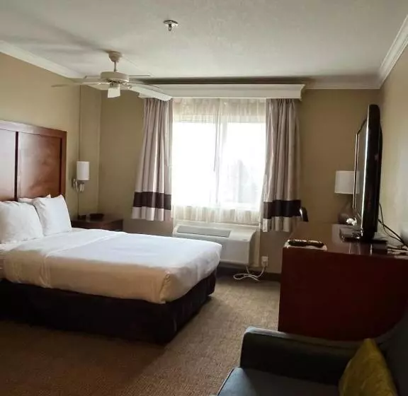 スタンダードルーム, Comfort Inn & Suites Ocean Shores