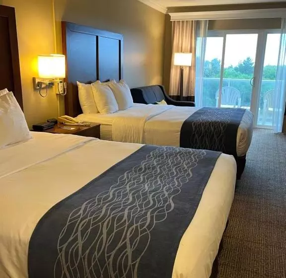 身障者適用スタンダードルーム, Comfort Inn & Suites Ocean Shores
