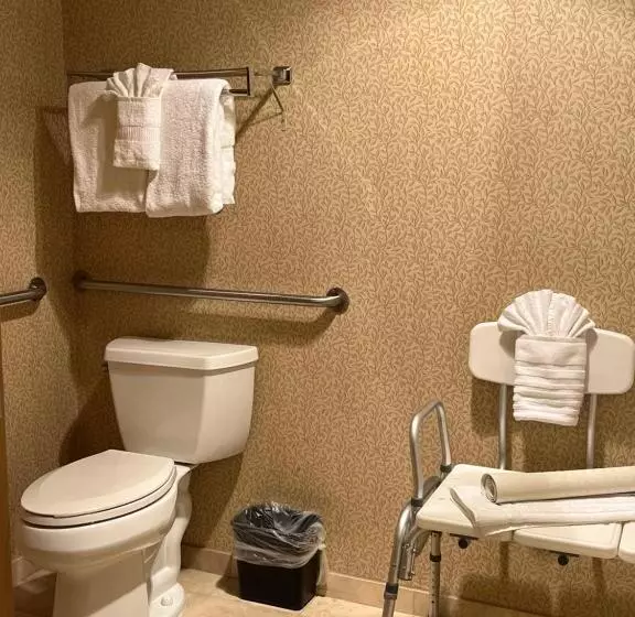 身障者適用スタンダードルーム, Comfort Inn & Suites Ocean Shores