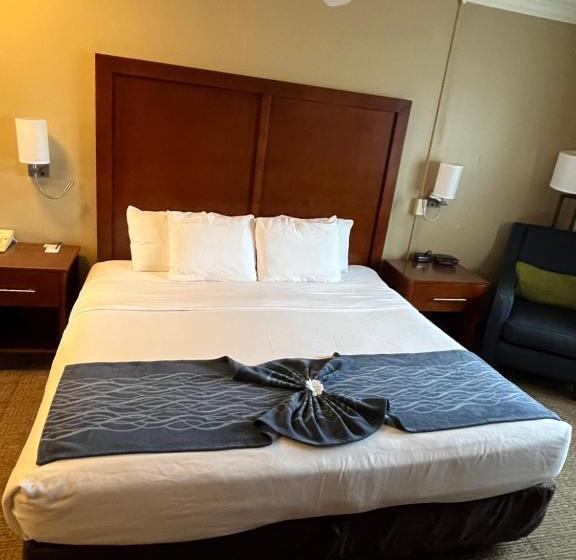 מיטת קינג בסוויטה, Comfort Inn & Suites Ocean Shores