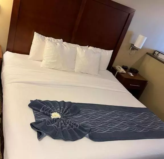キングサイズベッドのスイートルーム, Comfort Inn & Suites Ocean Shores