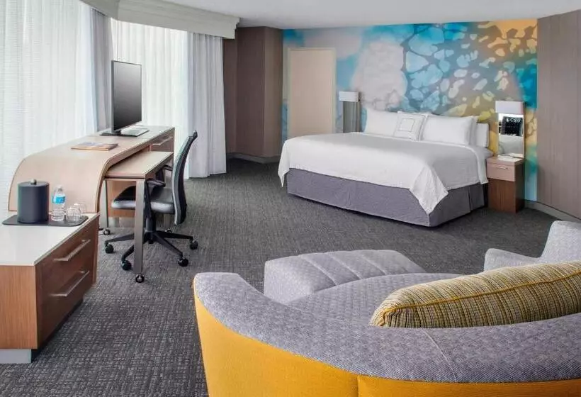 اتاق لوکس با تخت بزرگ, Courtyard Charlotte City Center