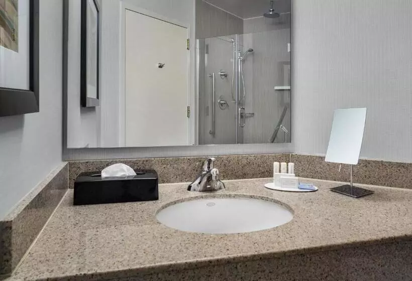 اتاق لوکس با تخت بزرگ, Courtyard Charlotte City Center
