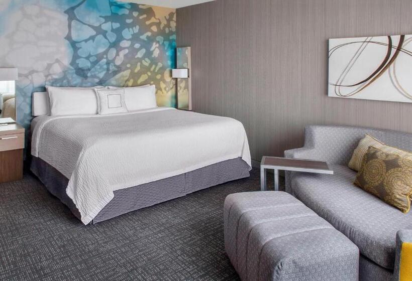 Номер Стандарт Кровать Кинг Адаптированный для Инвалидов, Courtyard Charlotte City Center