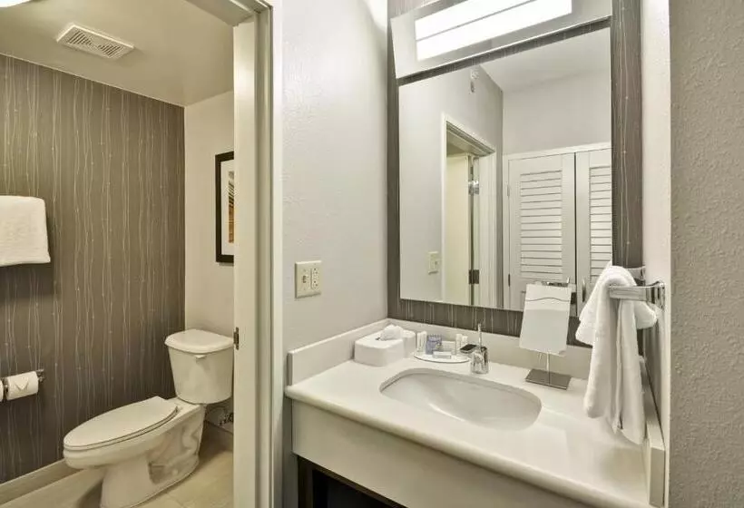 身障者適用キングサイズベッドルーム, Courtyard By Marriott Dalton