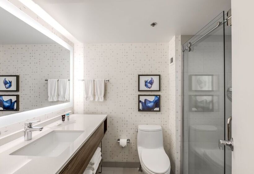 جناح لذوى الاحتياجات الخاصة, Crowne Plaza Suites Arlington, An Ihg