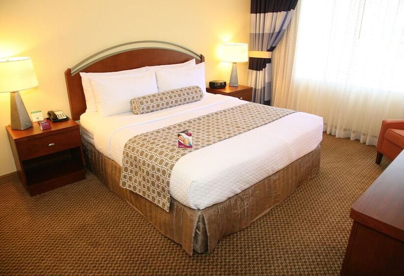 جناح لذوى الاحتياجات الخاصة, Crowne Plaza Suites Arlington, An Ihg