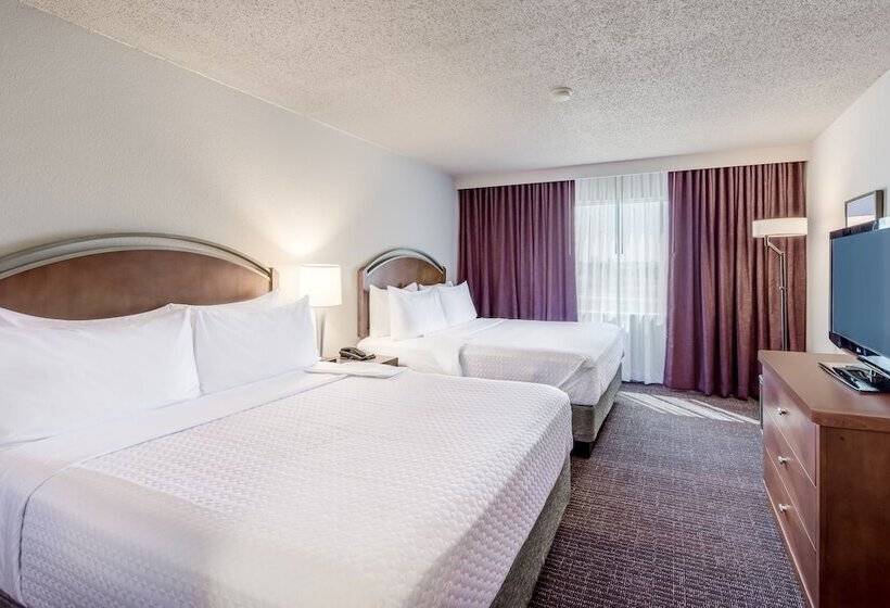 غرفه قياسيه سريرين مزدوجين, Crowne Plaza Suites Arlington, An Ihg