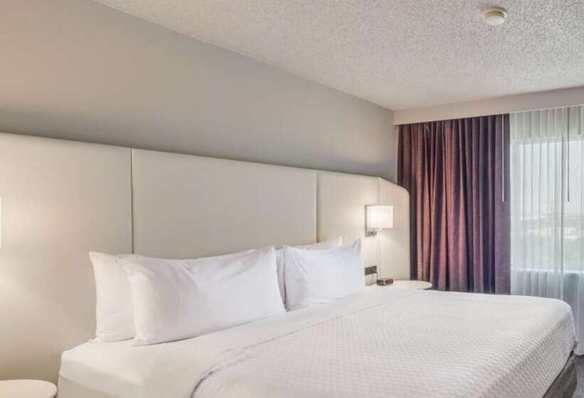 Premium Oda, Crowne Plaza Suites Arlington, An Ihg