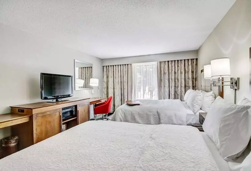 ２ダブルベッドのスタンダードルーム, Hampton Inn Salem, Va