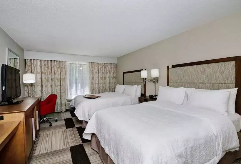 ２ダブルベッドのスタンダードルーム, Hampton Inn Salem, Va