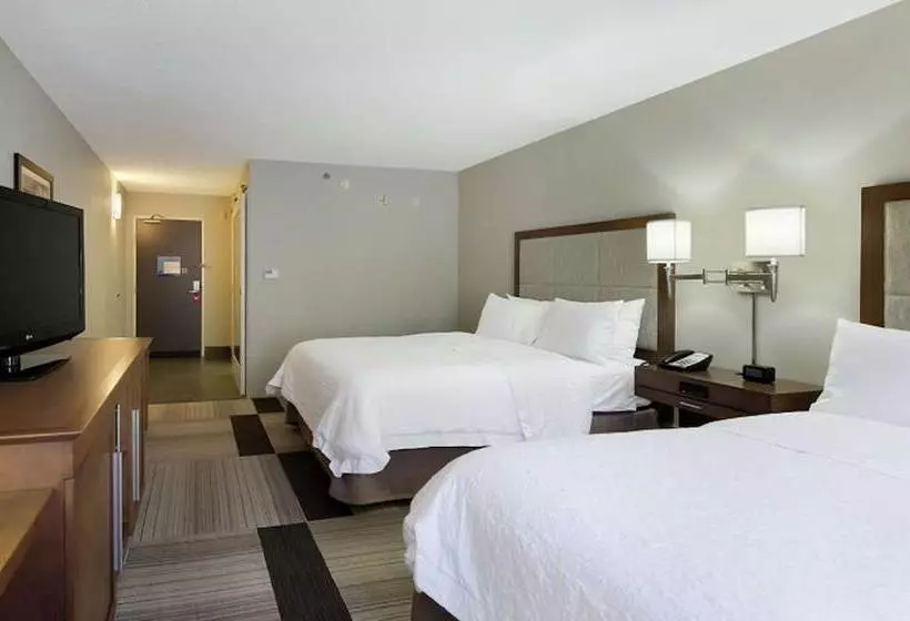 ２ダブルベッドのスタンダードルーム, Hampton Inn Salem, Va