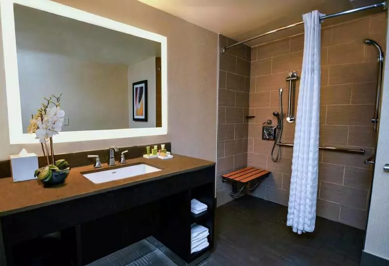 اتاق استاندارد با تخت بزرگ, Hilton Austin
