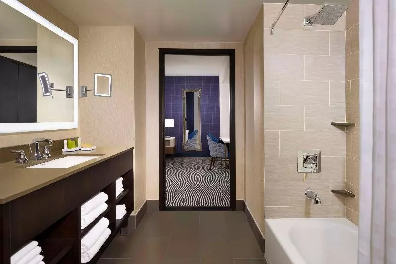 سوئیت با تخت بزرگ, Hilton Austin