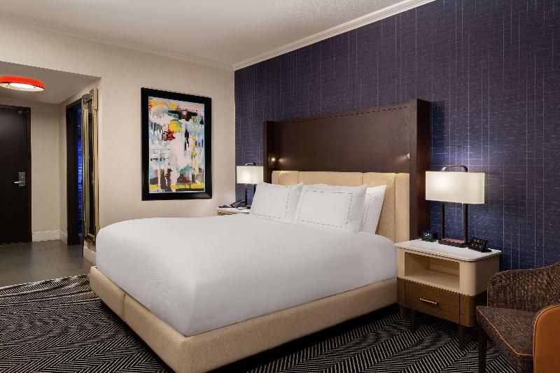 Номер Стандарт Кровать Кинг Адаптированный для Инвалидов, Hilton Austin