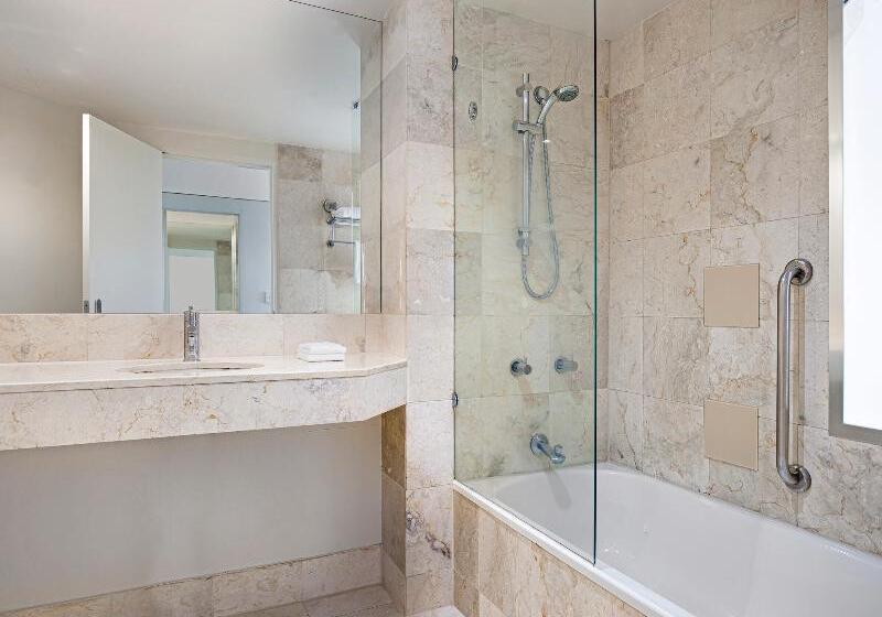 Номер Стандарт Адаптированный для Инвалидов, Hilton Austin