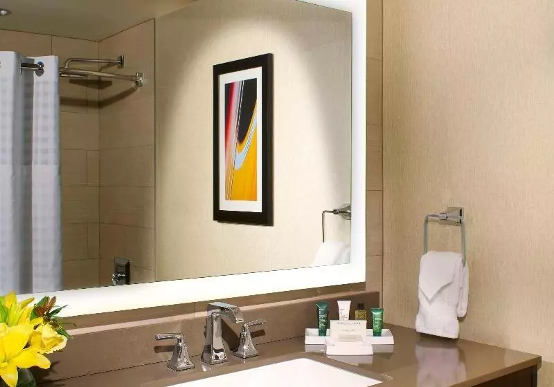 سوئیت با تخت بزرگ, Hilton Austin
