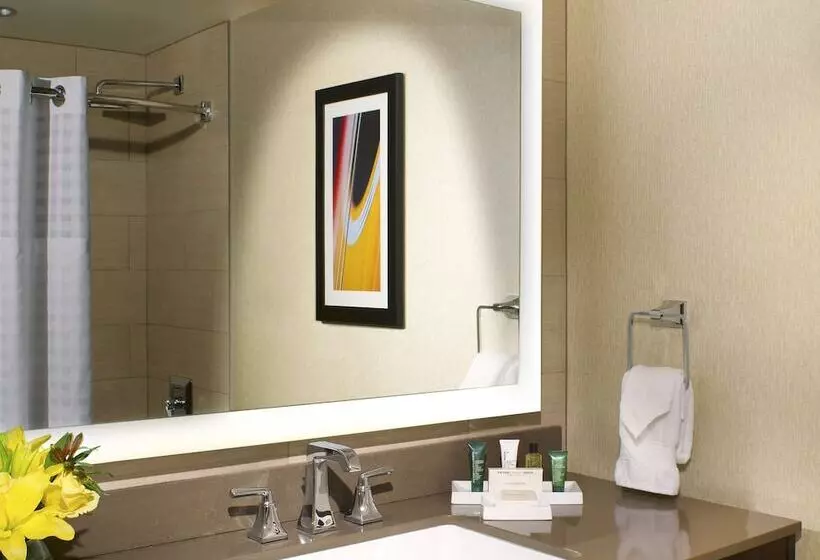 سوئیت با تخت بزرگ, Hilton Austin